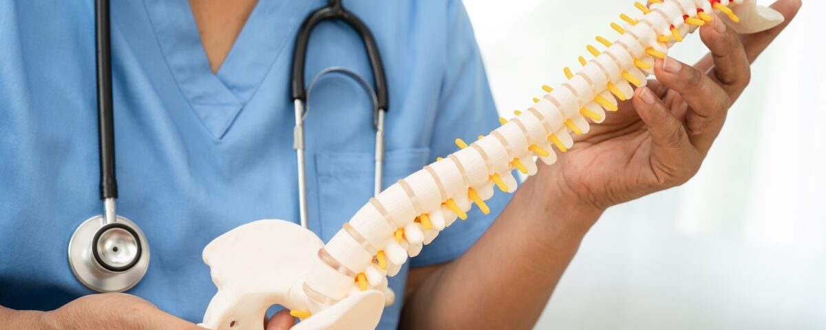 Asian doctor holding spinal nerve and bone model, Lumbar spine displaced herniated disc fragment